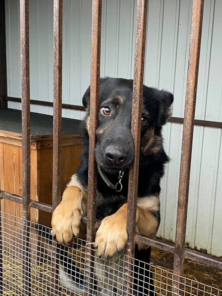 Історія, яка зігріває серце ❤️